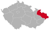 Moravia-Silezya'da Labrador yetiştiricisi,MO, Moravskoslezský kraj, Moravian-Silesian Bölgesi